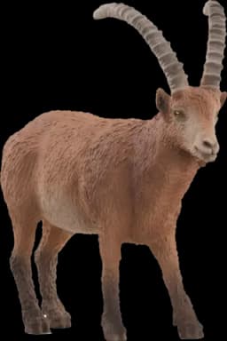 Steinbock von SCHLEICH