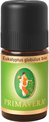 Ätherisches Öl Eukalyptus globulus bio von PRIMAVERA