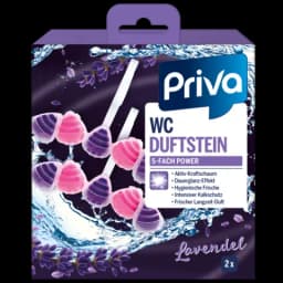 WC-Stein Lavendel von PRIVA
