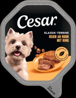 Klassiker von CESAR
