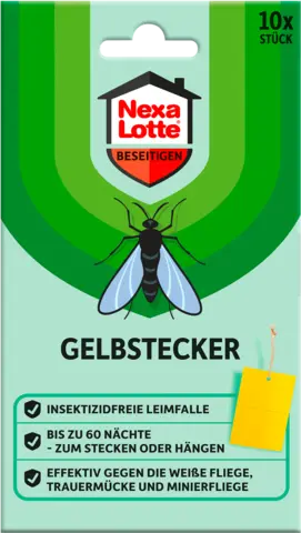 Gelbstecker von NEXA LOTTE