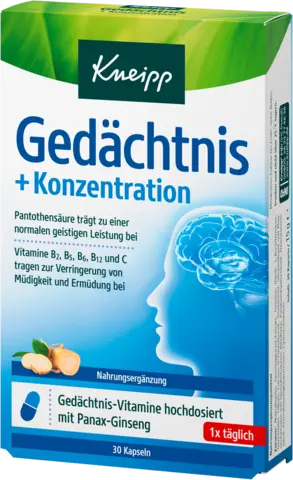 Gedächtnis + Konzentration von KNEIPP